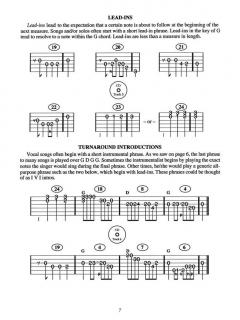 400 Smokin' Bluegrass Guitar Licks von Eddie Collins 