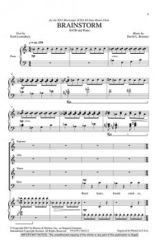 Brainstorm (David L. Brunner) 