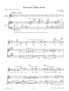 Geh unter, schöne Sonne von Richard Dünser 