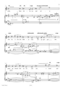 Geh unter, schöne Sonne von Richard Dünser 