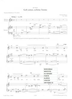 Geh unter, schöne Sonne von Richard Dünser 