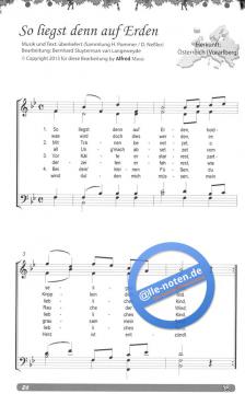 25 internationale Weihnachtslieder 