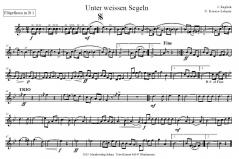 Unter weissen Segeln von J.P. English (Download) 