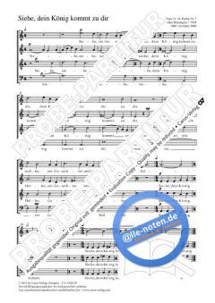 Siehe, dein König kommt zu dir a-Moll (Volker Bräutigam) 