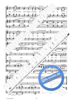 Gott wird abwischen alle Tränen (Hans-Peter Braun) 