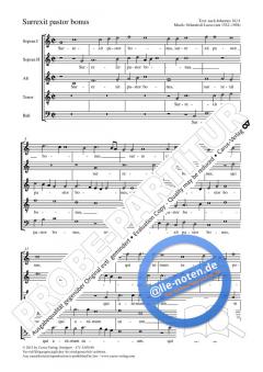 Surrexit pastor bonus C-Dur (Orlando di Lasso) 