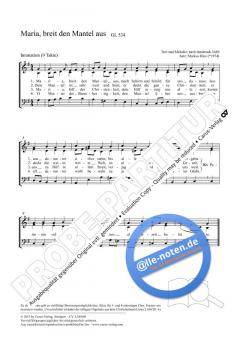 Maria, breit den Mantel aus G-Dur (Markus Hinz) 
