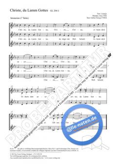 Christe, du Lamm Gottes (2012) (Galina Tsmyg) 