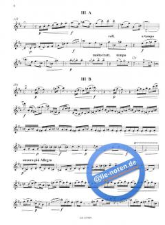 Kadenzen zum Flötenkonzert in D-Dur, KV 314 von Wolfgang A. Mozart von Luciano Berio im Alle Noten Shop kaufen