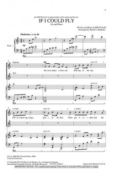 If I Could Fly (David L. Brunner) 