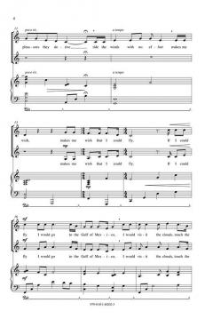 If I Could Fly (David L. Brunner) 