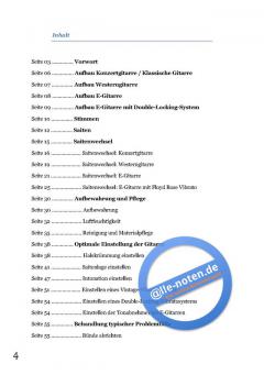 Der Gitarren Ratgeber (Mark Schneider) 