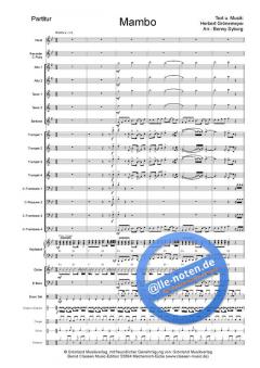Mambo von Grönemeyer 