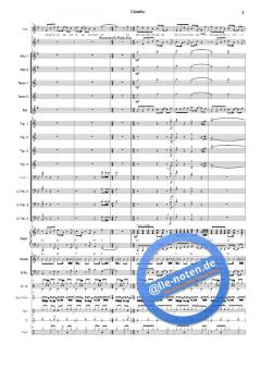 Mambo von Grönemeyer 