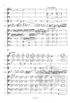 Flötenkonzert D-Dur op. 283 von Carl Reinecke 