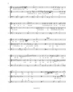 Friedensgesänge 1628-1651 'Musik zum 30jährigen Krieg' (Johannes Werlin) 