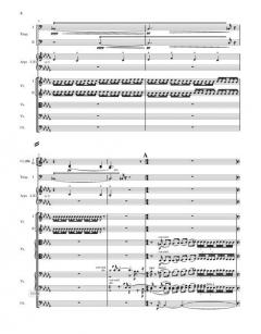 Sämtliche Werke Serie I (Orchesterwerke) Band 16 op. 73,112 von Jean Sibelius 