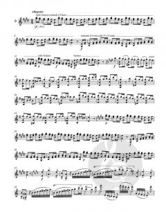 24 Capricci op. 1 / 24 Contradanze Inglesi von Niccolò Paganini für Violine solo im Alle Noten Shop kaufen