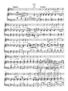 Cyprise (Zypressen) von Antonín Dvorák 