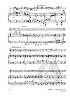 Konzert Nr. 2 F-Dur op. 13 (Robert Stark) 