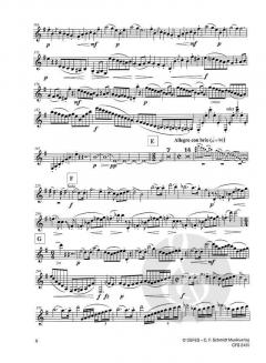 Konzert Nr. 2 F-Dur op. 13 (Robert Stark) 