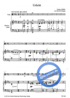 Delights for Strings: 4 Lieder von Gustav Mahler 