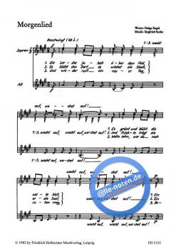 Die Sonne nimmt uns bei der Hand 