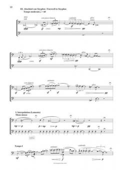 Denkbilder (2013) von Gabriel Iranyi 