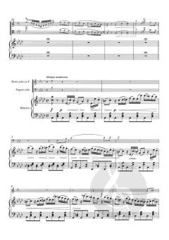 Concertino für Horn und Fagott op. 43 (Ignaz Lachner) 