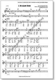 Du Meine Seele Singe 