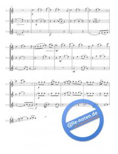 Four Seasons von Mario Valsania 