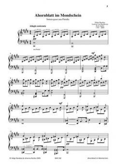 Ahornblatt im Mondschein von Helge Barabas 