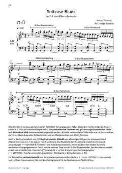 Bluestonleitern von Helge Barabas 