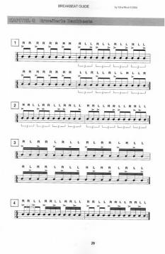 Breakbeat Guide (Ydna Murd) 