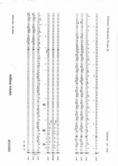 Vamos Amigos / Fiesta Latina von Felix Schell 