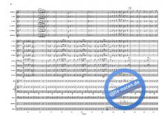 Schwarzer Panther (Mario Consiglio) 