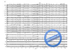 Schwarzer Panther (Mario Consiglio) 