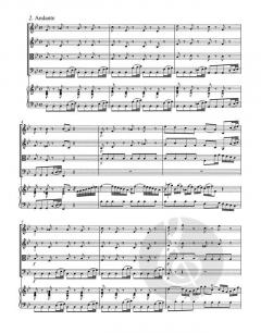Concerto g-Moll BWV 1058 (J.S. Bach) 