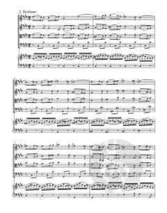 Concerto Nr. 2 E-Dur BWV 1053 (J.S. Bach) 