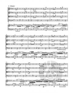 Concerto Nr. 5 f-Moll BWV 1056 (J.S. Bach) 