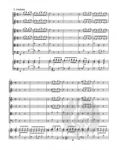 Concerto Nr. 6 F-Dur BWV 1057 (J.S. Bach) 