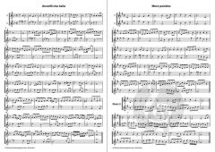 12 Duette mit Variationen (Jakob van Eyck) 