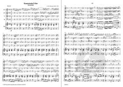 Ouvertüre der Konzertsuite F-Dur (Georg Philipp Telemann) 