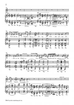 Zweite Romantik von Manfred Schubert 