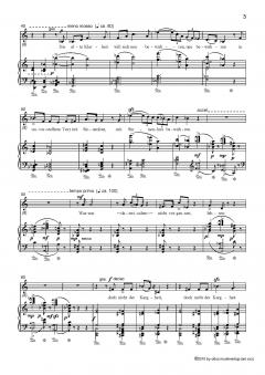 Zweite Romantik von Manfred Schubert 