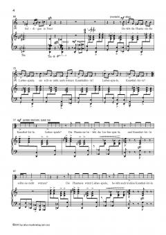 Zweite Romantik von Manfred Schubert 