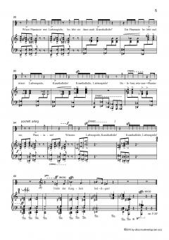 Zweite Romantik von Manfred Schubert 