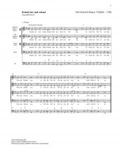 Kommt her und schaut (Große Passion) GraunWV B:VII:5 