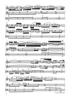 Drei Violinsonaten in C-Dur, D-Dur, b-Moll von Johann Wilhelm Hertel im Alle Noten Shop kaufen (Partitur)