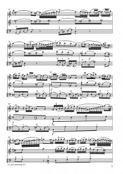 Drei Violinsonaten in C-Dur, D-Dur, b-Moll von Johann Wilhelm Hertel im Alle Noten Shop kaufen (Partitur)